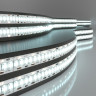 Светодиодная лента 12 В 16 Вт/м 240 Led/м 2835 IP65, холодный белый 6500K, 5 м Лента светодиодная 12V 16W 240Led 2835 IP65 холодный белый, 5м