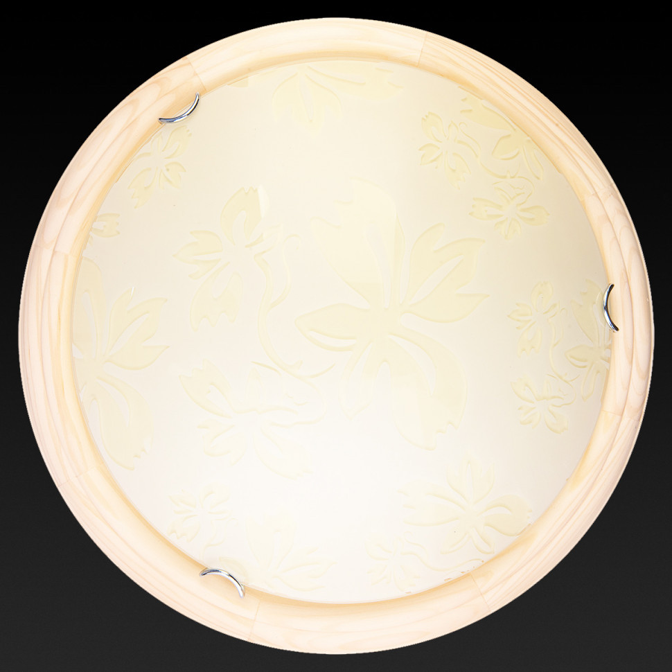 Настенно-потолочный светодиодный светильник Toplight Jane TL9640Y-00PN