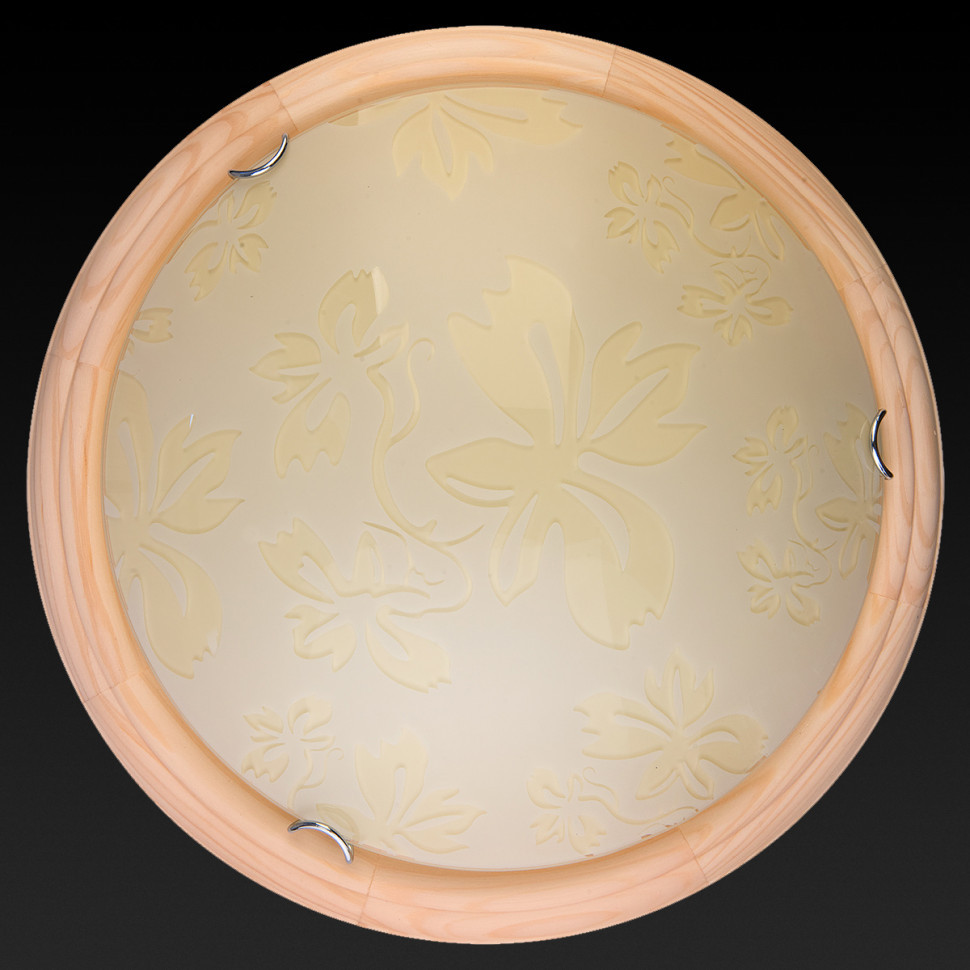 Настенно-потолочный светодиодный светильник Toplight Jane TL9640Y-00PN