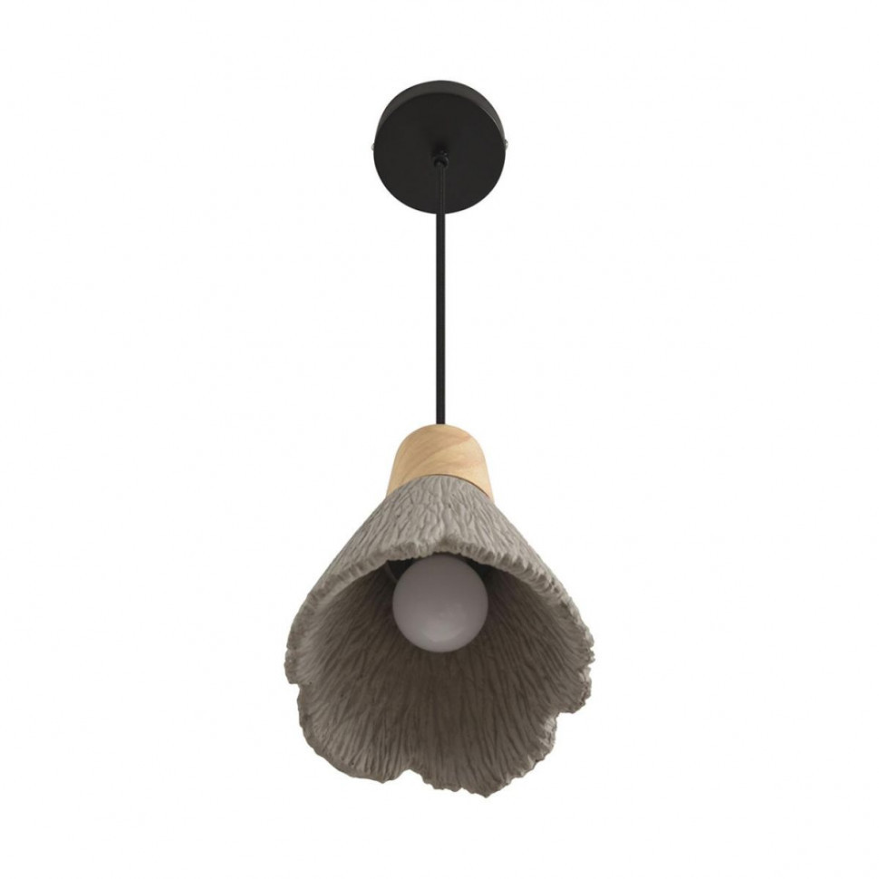 Подвесной светильник Lumion Suspentioni Eoliana 8351/1B