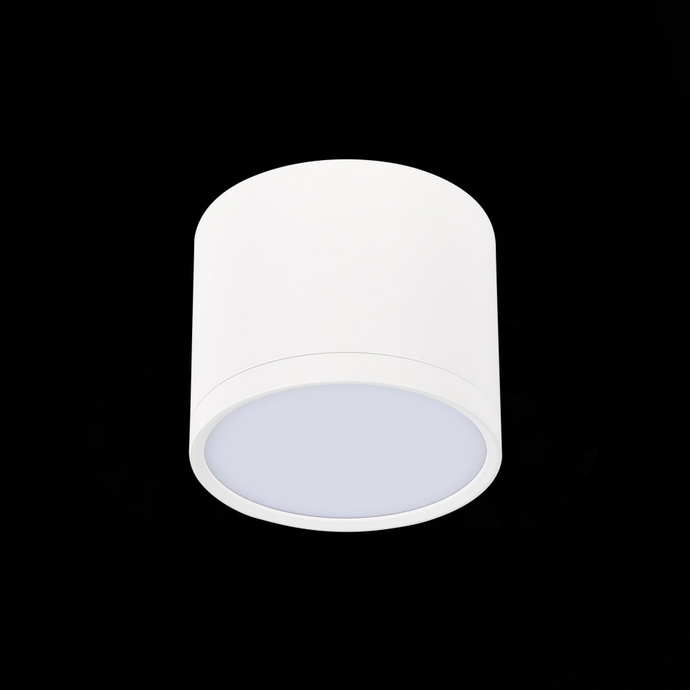 Потолочный светильник ST Luce Rene ST113.532.09