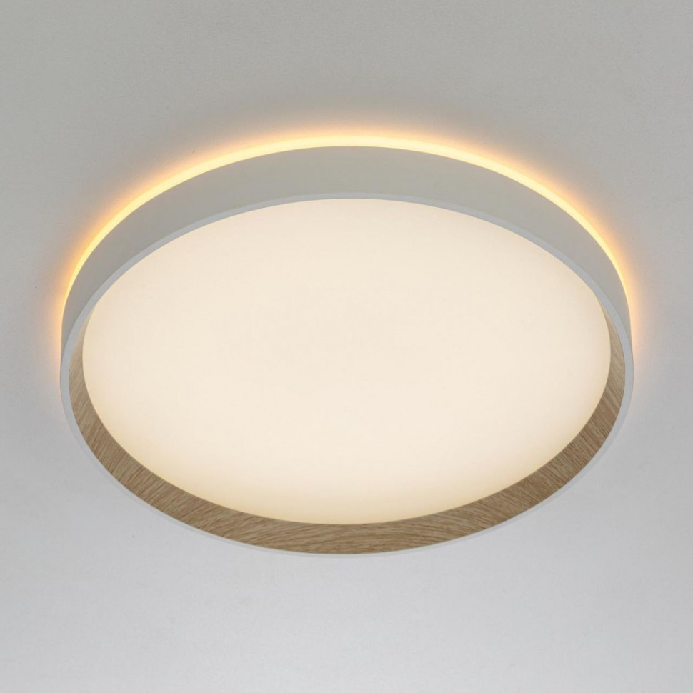 Накладной светильник Citilux Etalon CL750320R