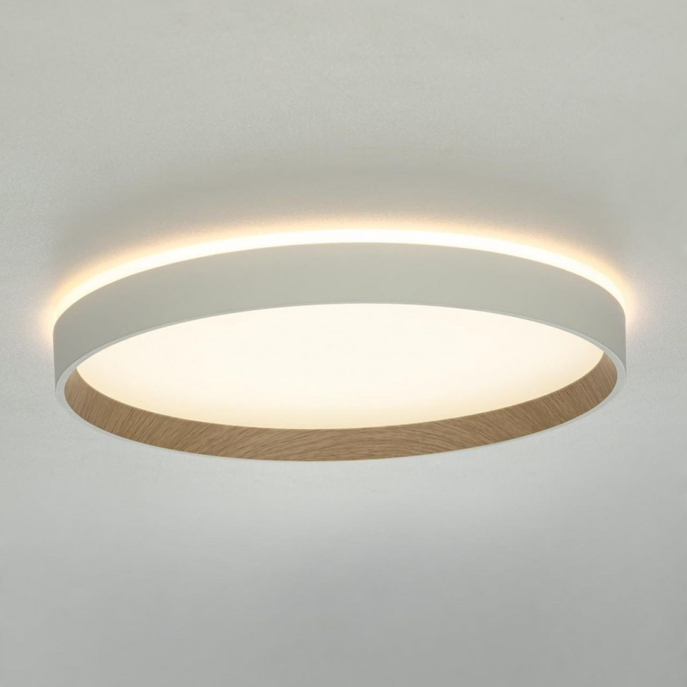 Накладной светильник Citilux Etalon CL750320R