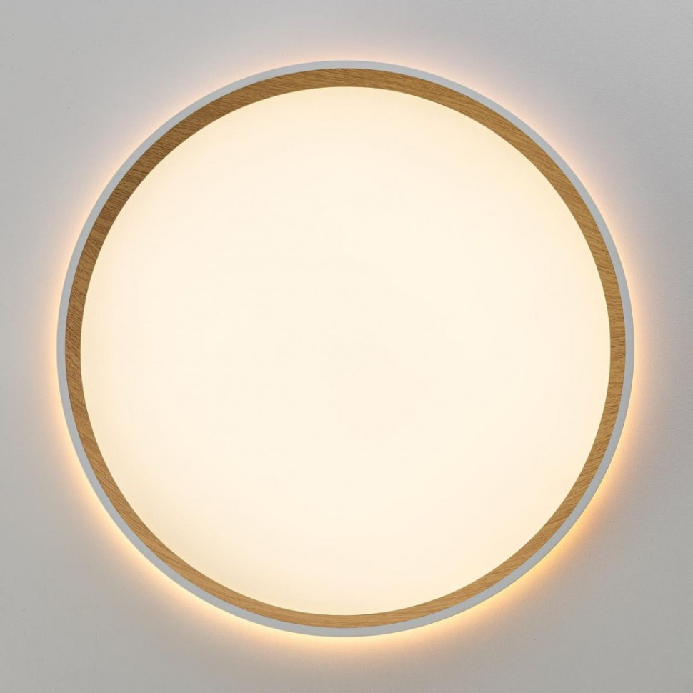 Накладной светильник Citilux Etalon CL750320R