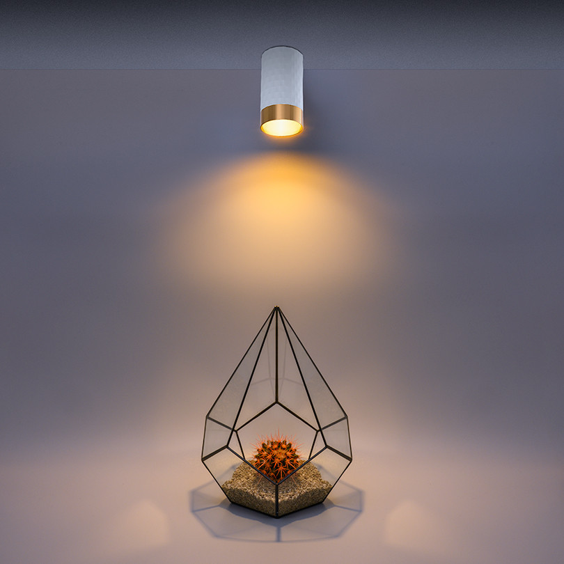 Накладной светильник Wolta Cella WSL-GU10/10WG