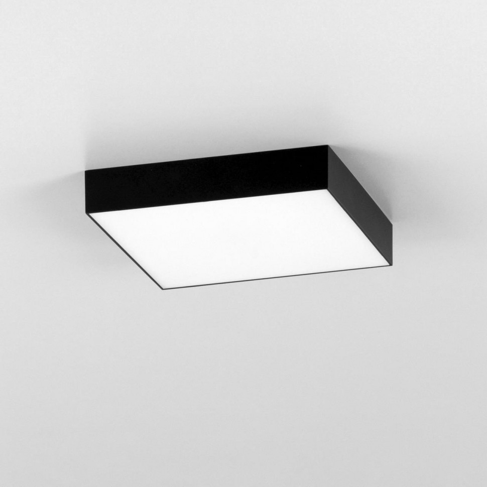 Накладной светодиодный светильник Citilux Тао CL712X242N