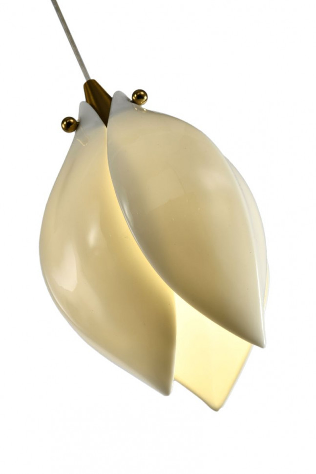 Подвесной светильник Zortes Dalin ZRS.90609.01