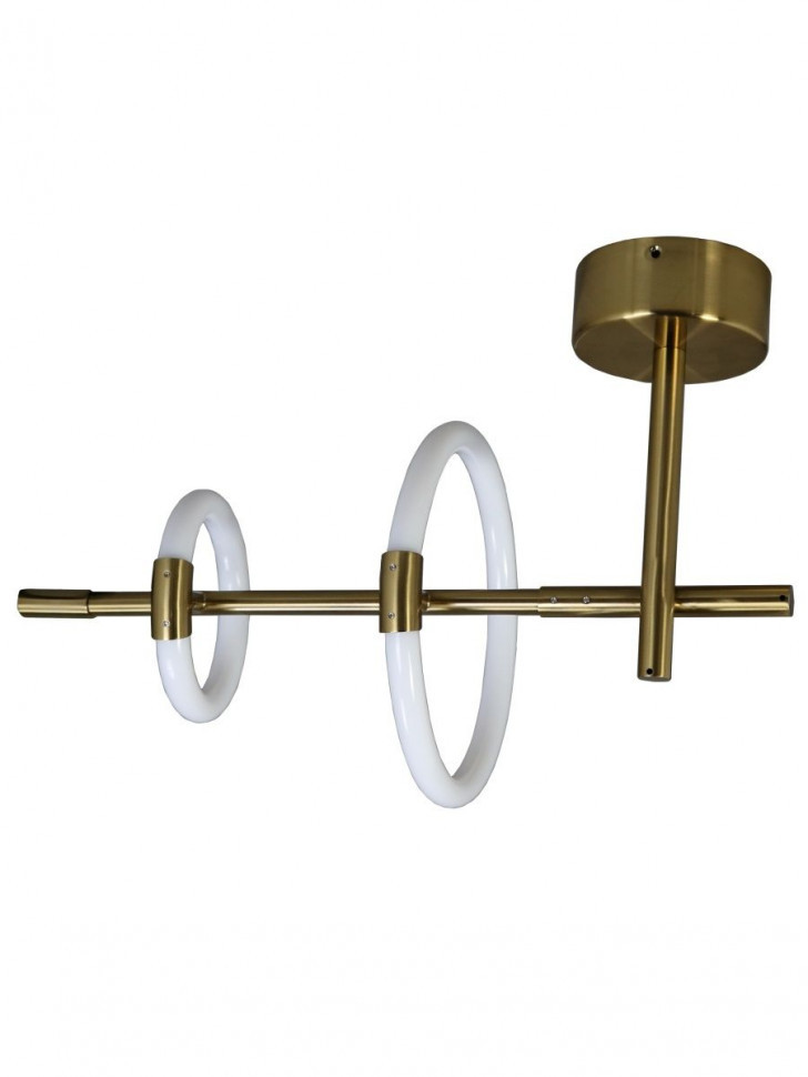 Настенно-потолочный светильник Zortes Jessy ZRS.01043.02