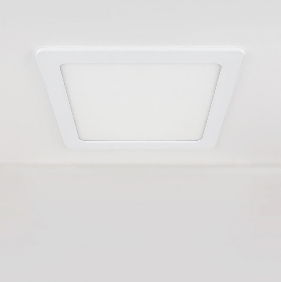 Встраиваемый светодиодный светильник Elektrostandard DLS003 24W 4200K 4690389081903