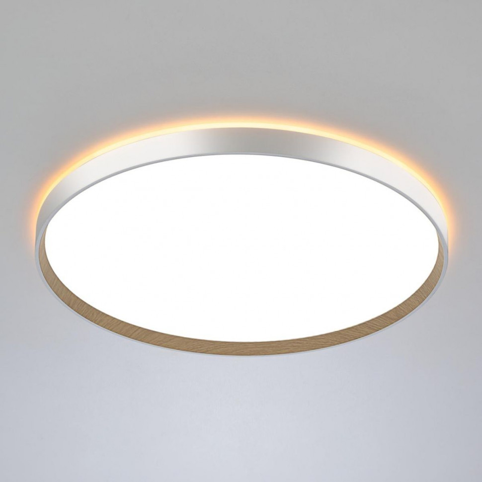 Накладной светильник Citilux Etalon CL750500R