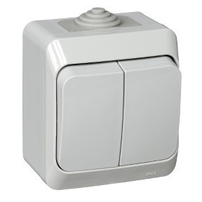Выключатель двухклавишный 10АХ IP44 серый Systeme Electric Этюд BA10-042C