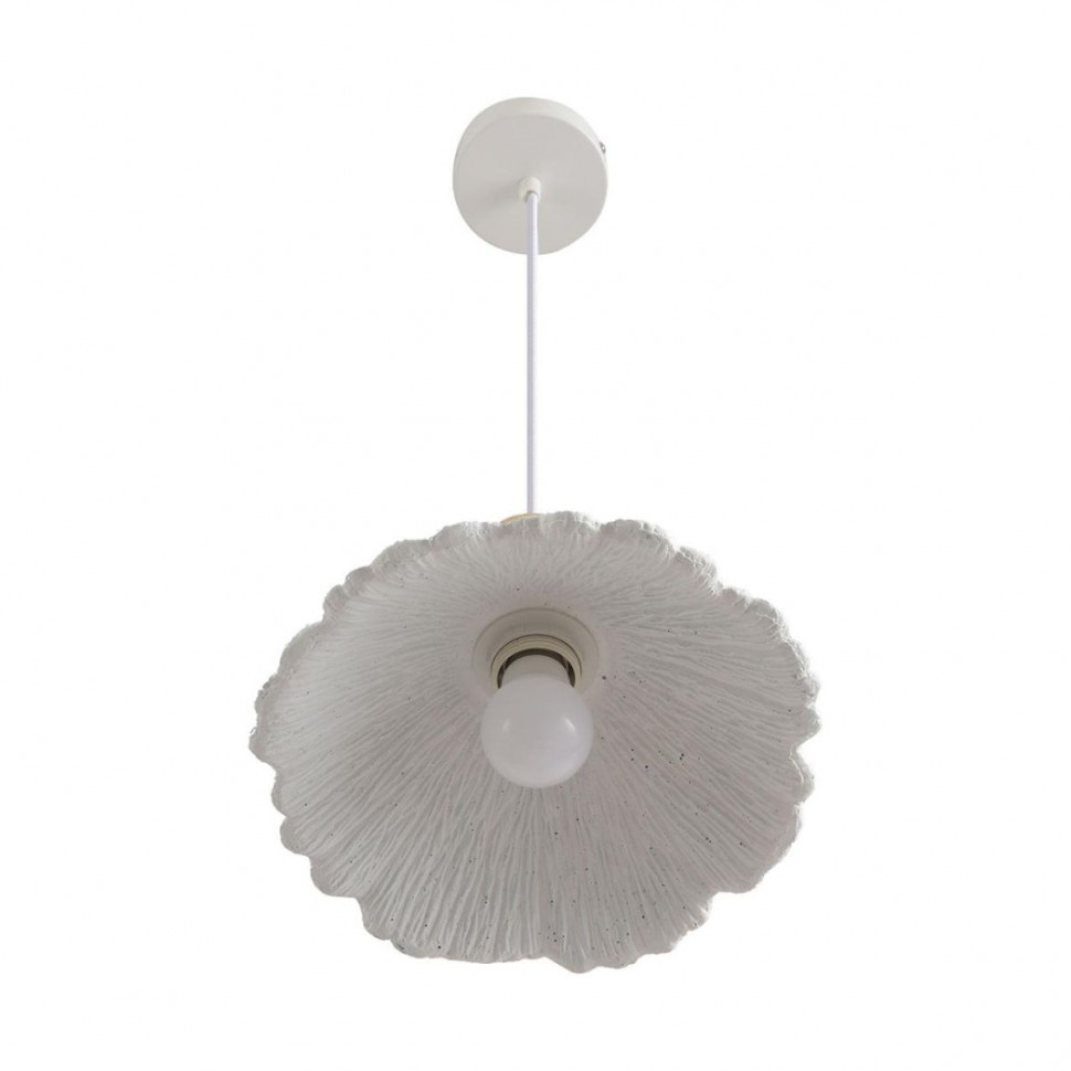 Подвесной светильник Lumion Suspentioni Eoliana 8352/1A