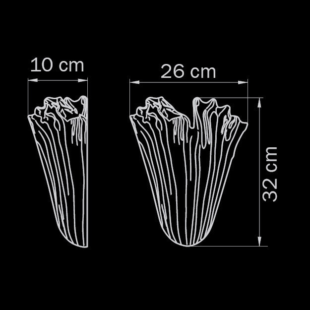 Настенный светильник Lightstar Murano 601610