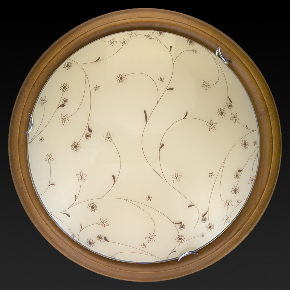 Настенно-потолочный светодиодный светильник Toplight Karissa TL9650Y-00OA