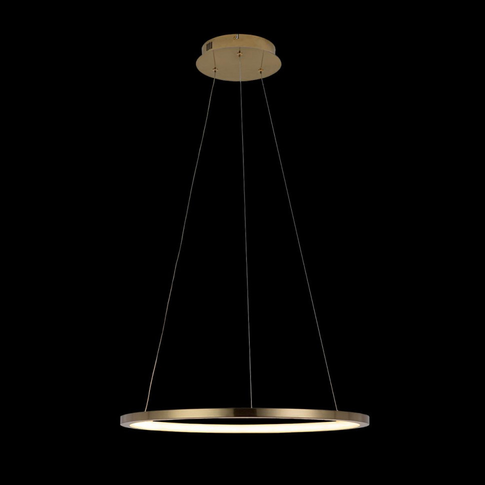 Подвесной светодиодный светильник Loft IT Ring 10014M