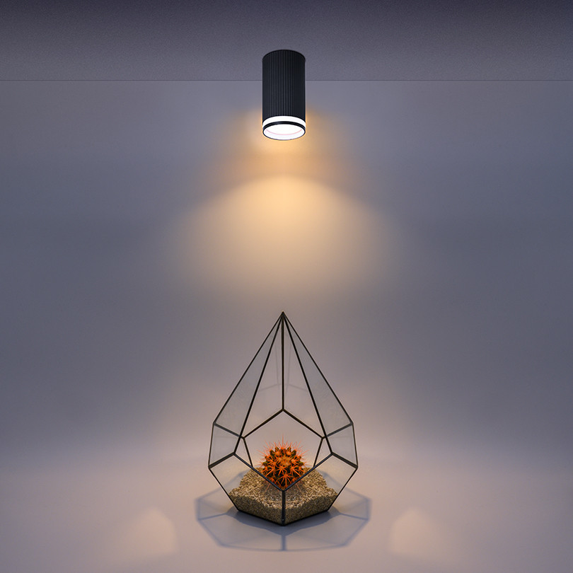 Накладной светильник Wolta Corallo WSL-GU10/03BL